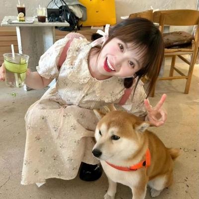 哈啰,我叫朵莉丝
